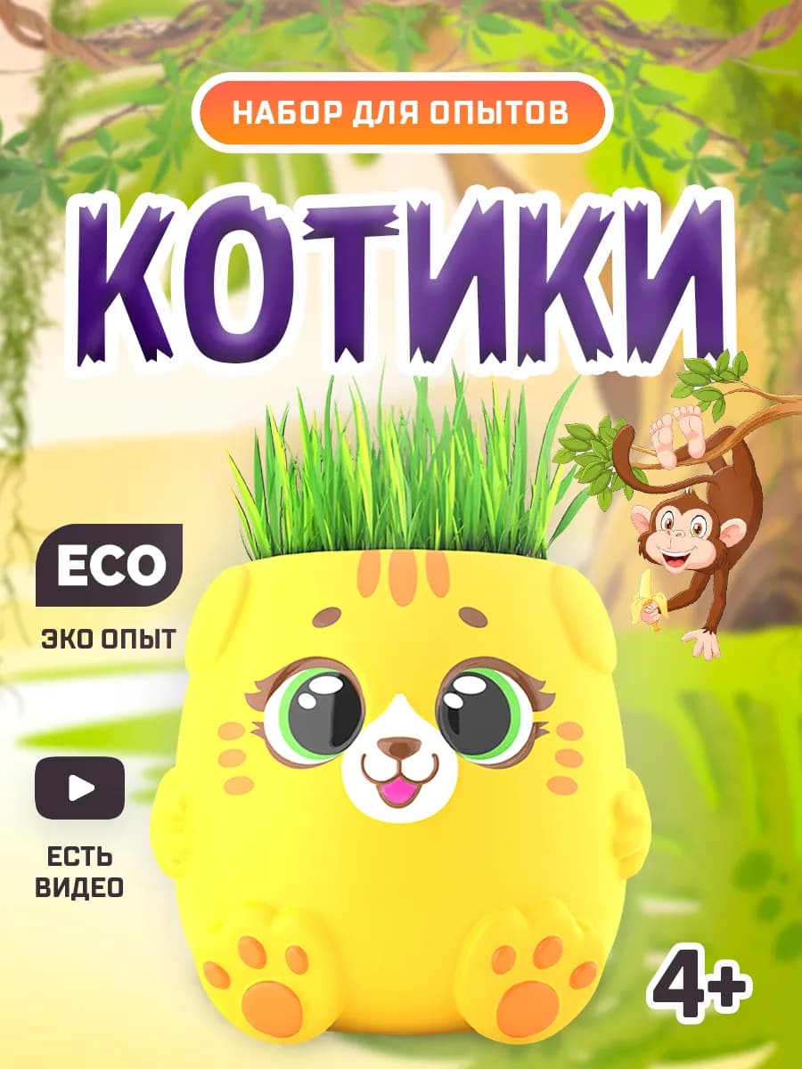 Выращивание растений для детей Котик - фото 1