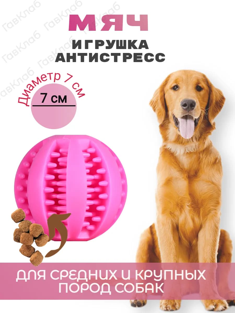 Мяч для собак - фото 1