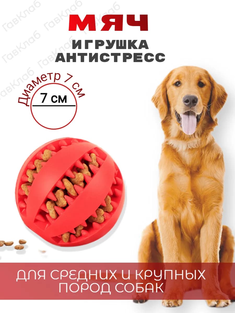 Мяч для собак - фото 1