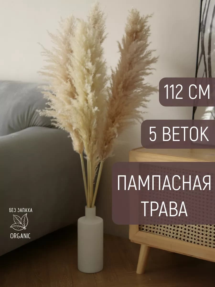Сухоцветы для декора пампасная трава высокая