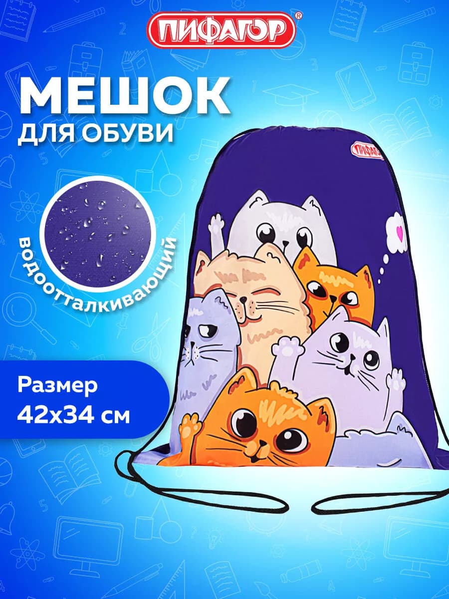 Мешок для обуви, сумка для сменки в школу, чехол плотный