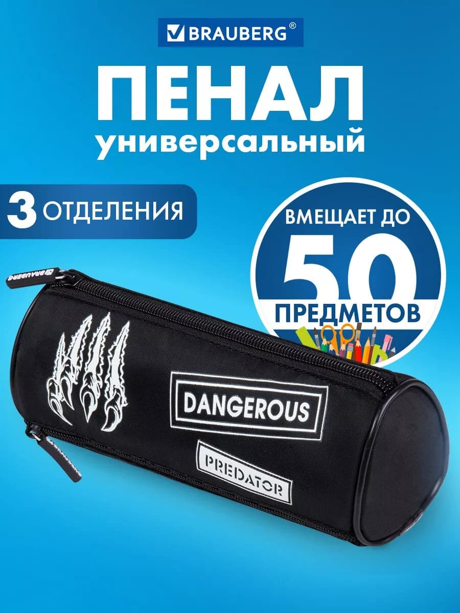 Пенал тубус школьный мальчику, подростку, 3 отделения
