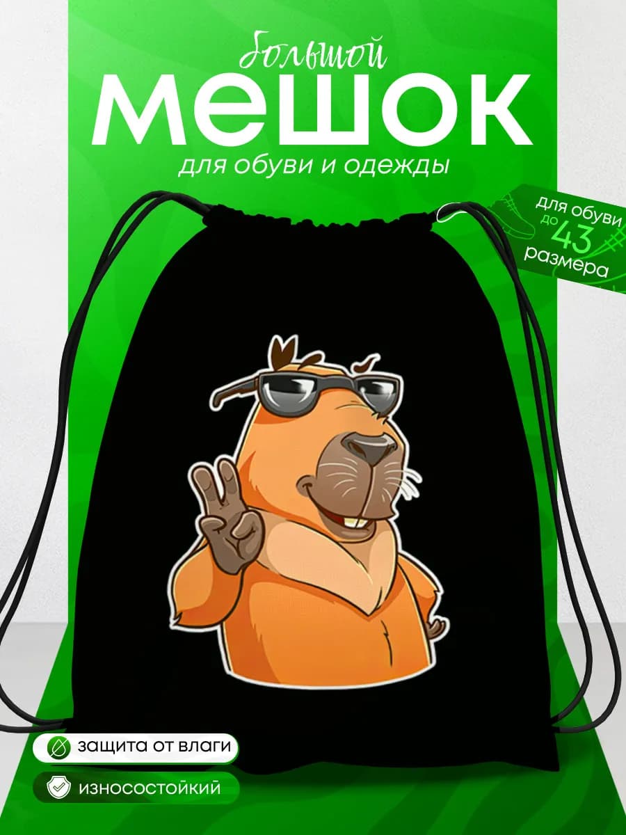Мешок для обуви для мальчика Capybara Капибара для большой