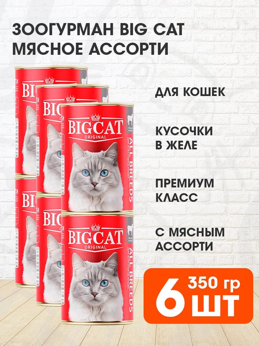 Корм влажный для кошек Big Cat мясное ассорти желе 350г 6шт
