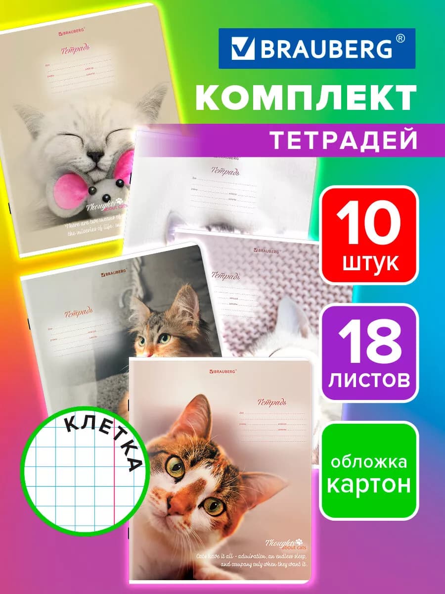Тетрадь в клетку 18 листов для школы набор 10 штук Котики