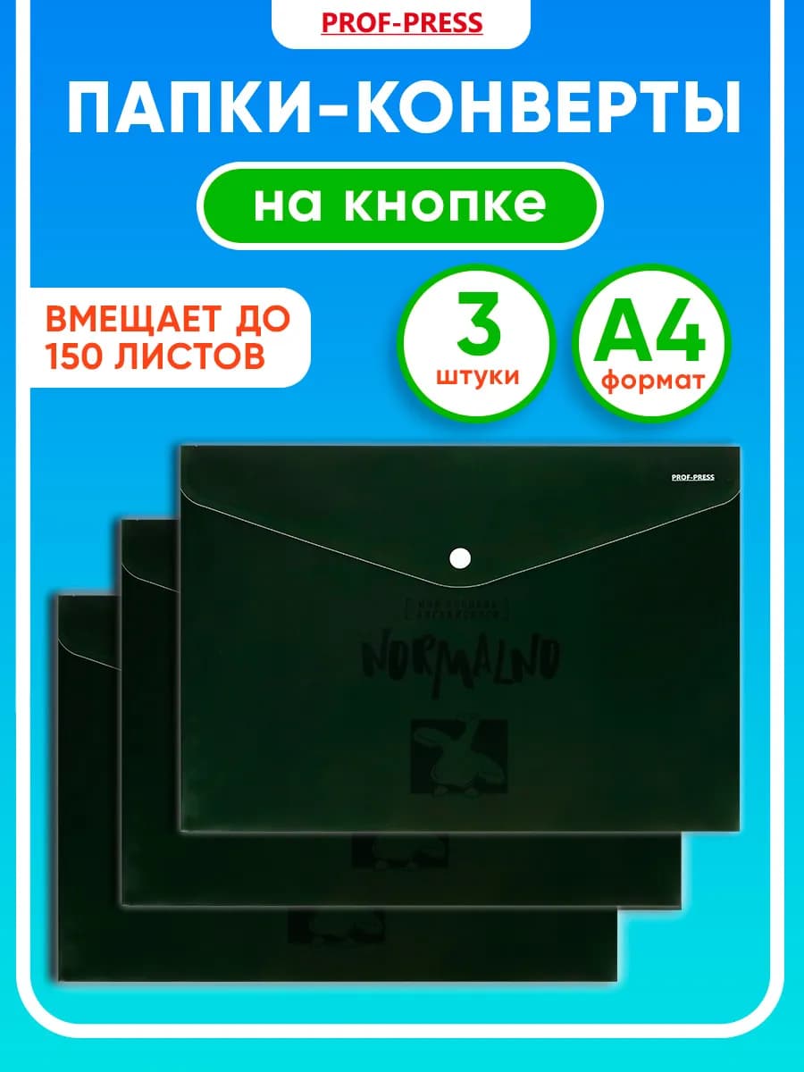 Папка для документов А4 на кнопке