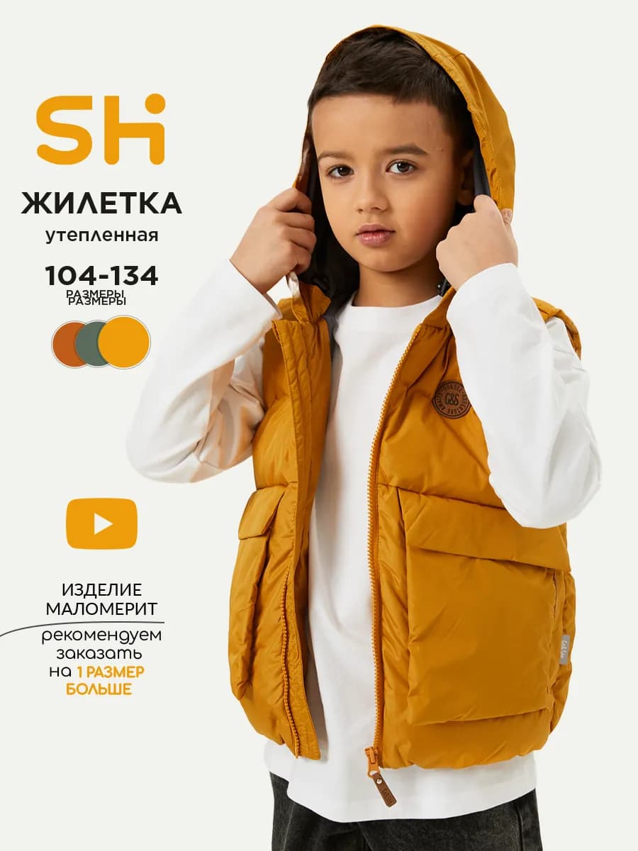 Утепленная жилетка на мальчика болоньевая с капюшоном