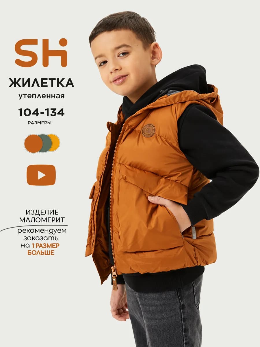 Теплая жилетка на мальчика болоньевая с капюшоном