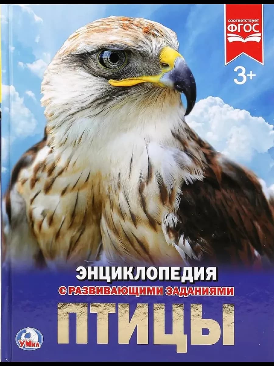 Энциклопедия А4 для детей Птицы