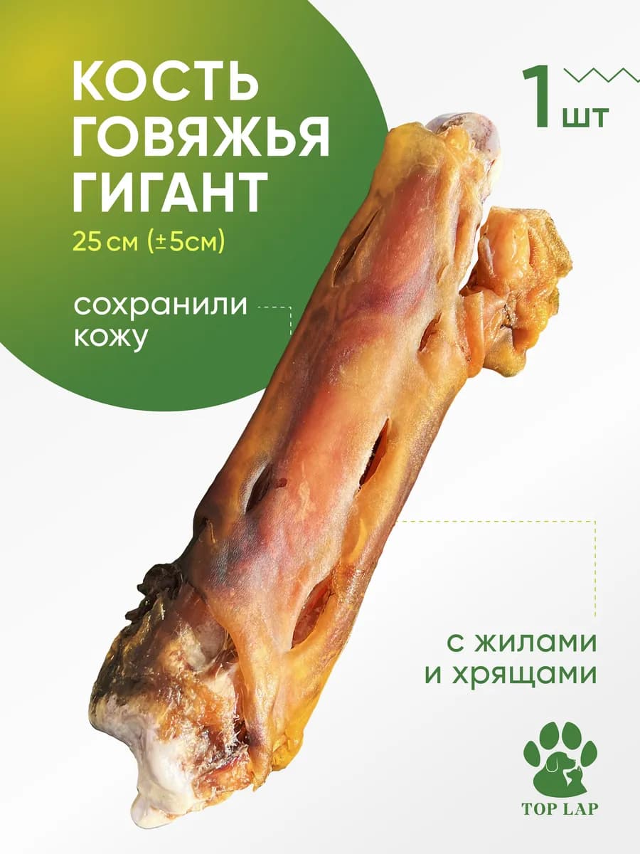 Кость для собак крупных пород говяжья с жилами и хрящами