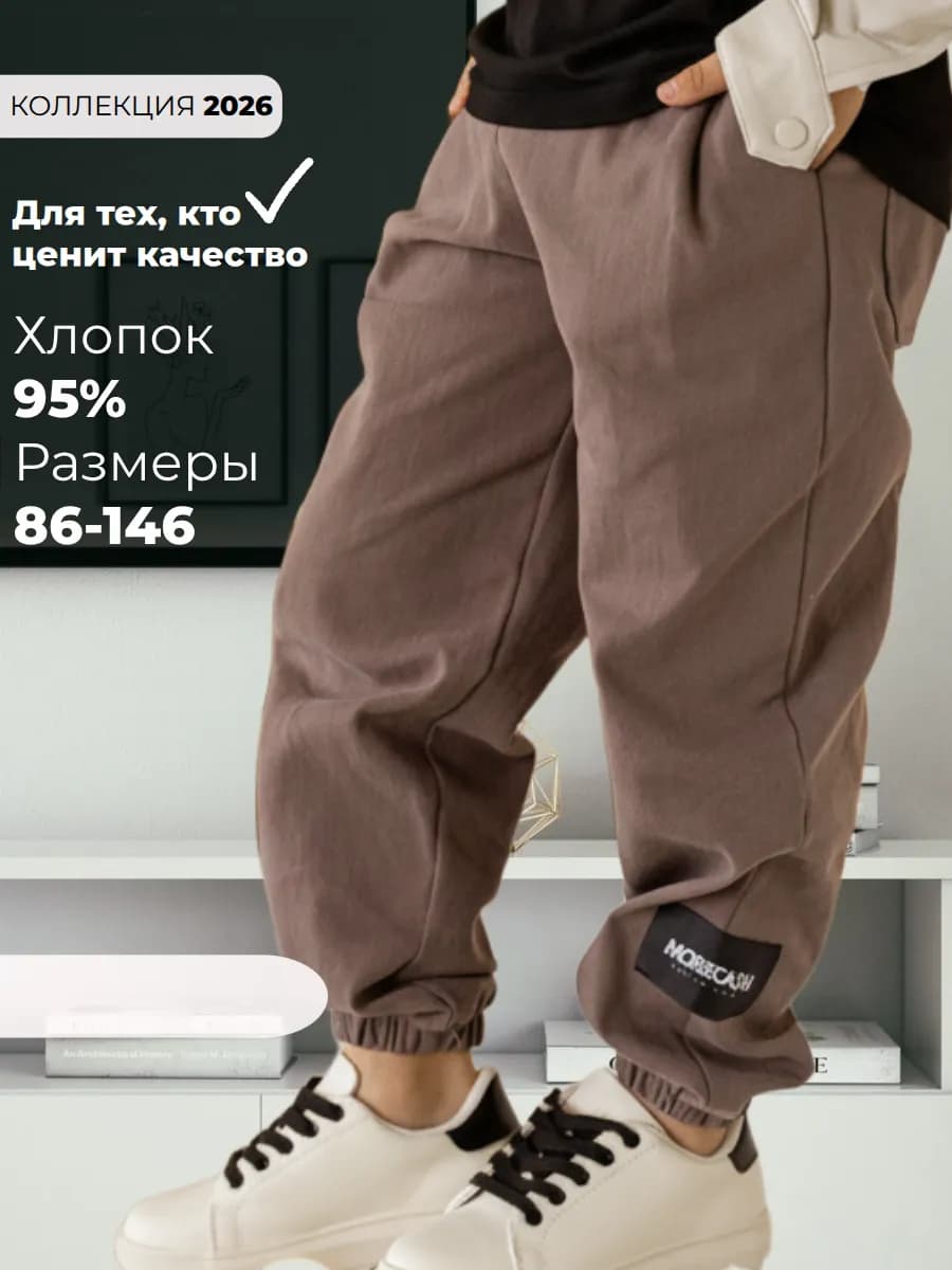 Брюки джоггеры