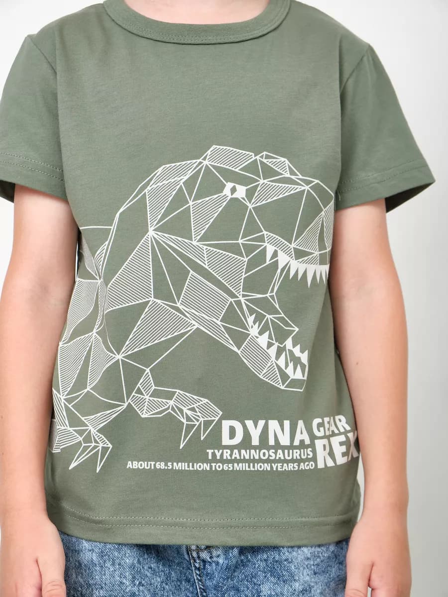 Футболка детская для мальчика с принтом