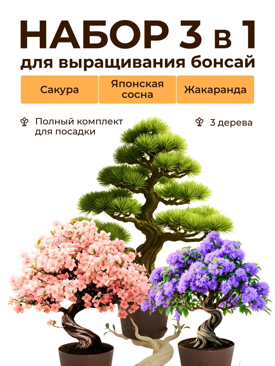 Набор для выращивания растений Бонсай Сосна Сакура Жакаранда