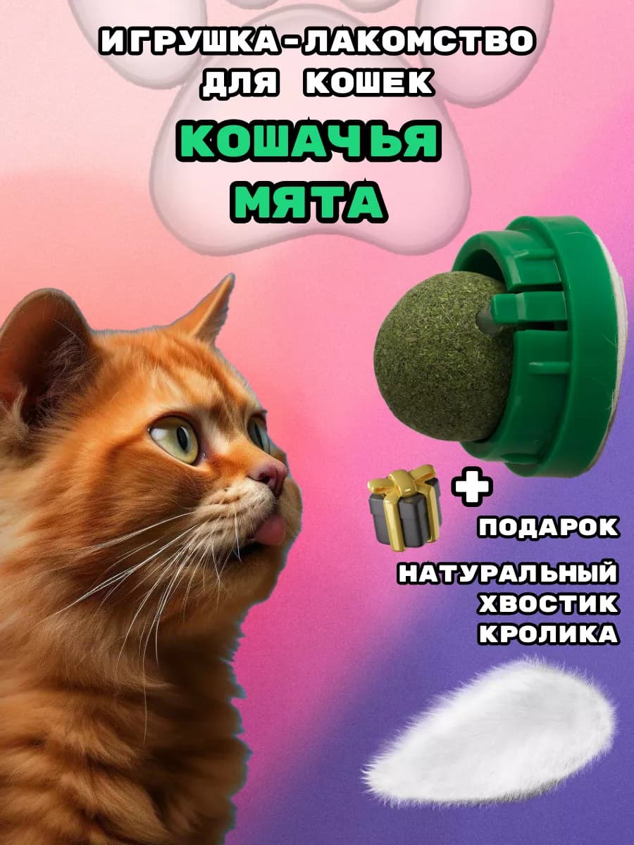 Кошачья мята шарик на стену и кроличий хвостик