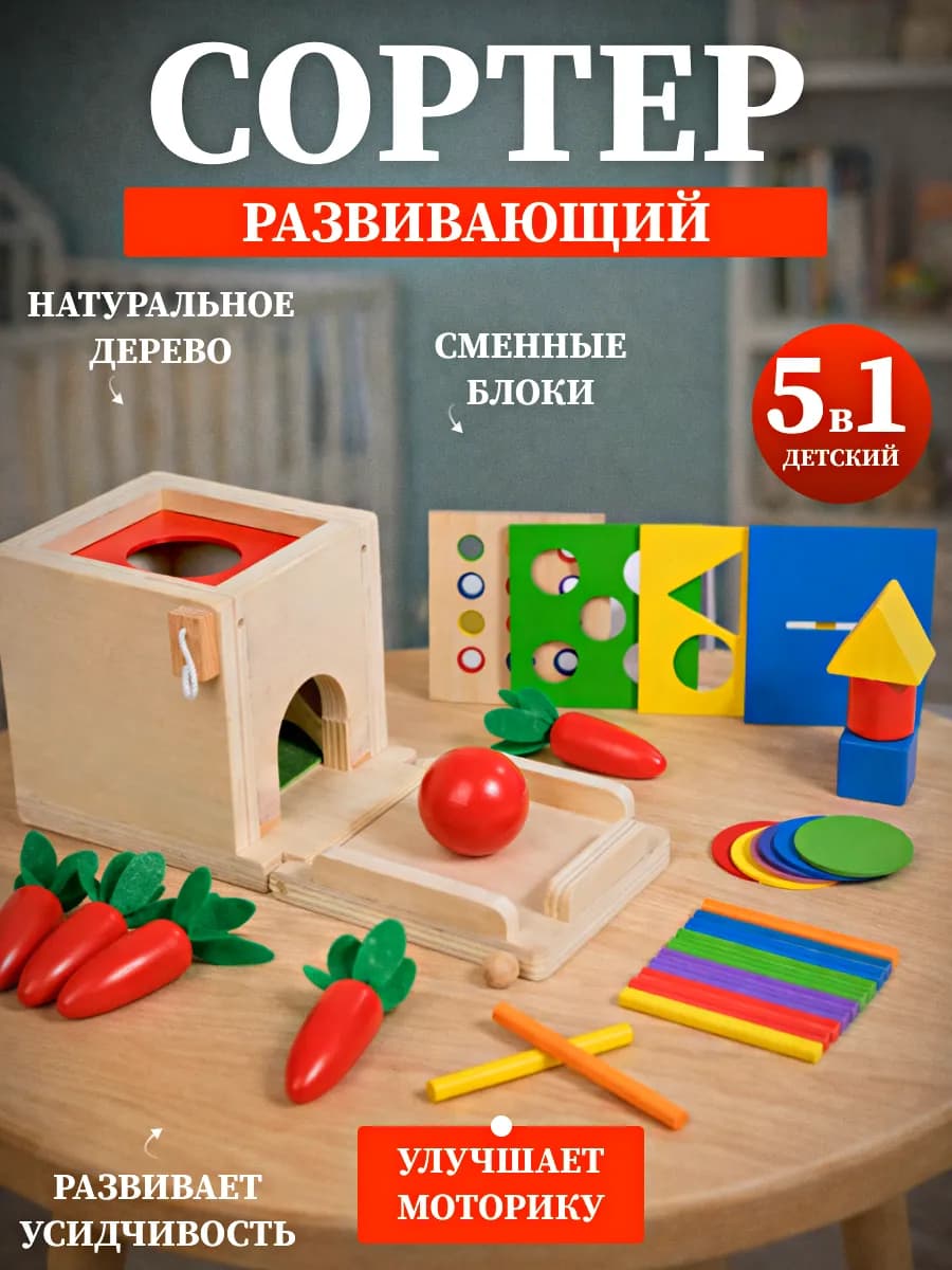 Развивающая сортер игрушка