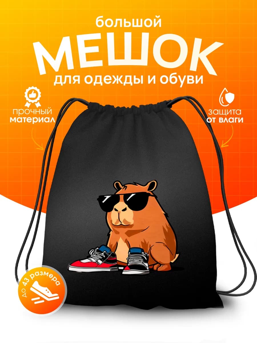 Мешок для обуви для мальчика в школу для сменки капибара