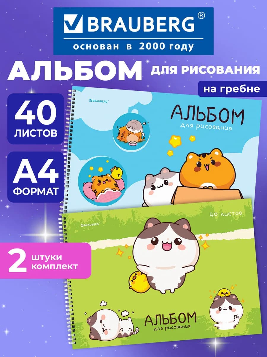 Альбом для рисования в школу А4 40 л на спирали, набор 2 шт