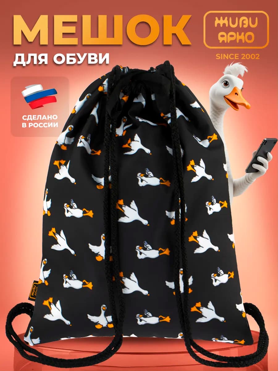 Мешок для обуви сменка школьная