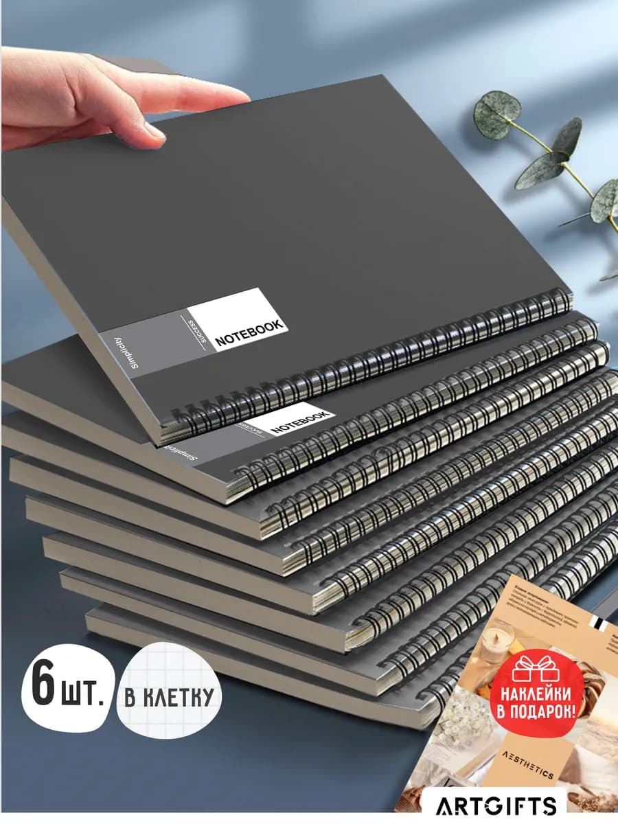 Тетрадь на кольцах набор