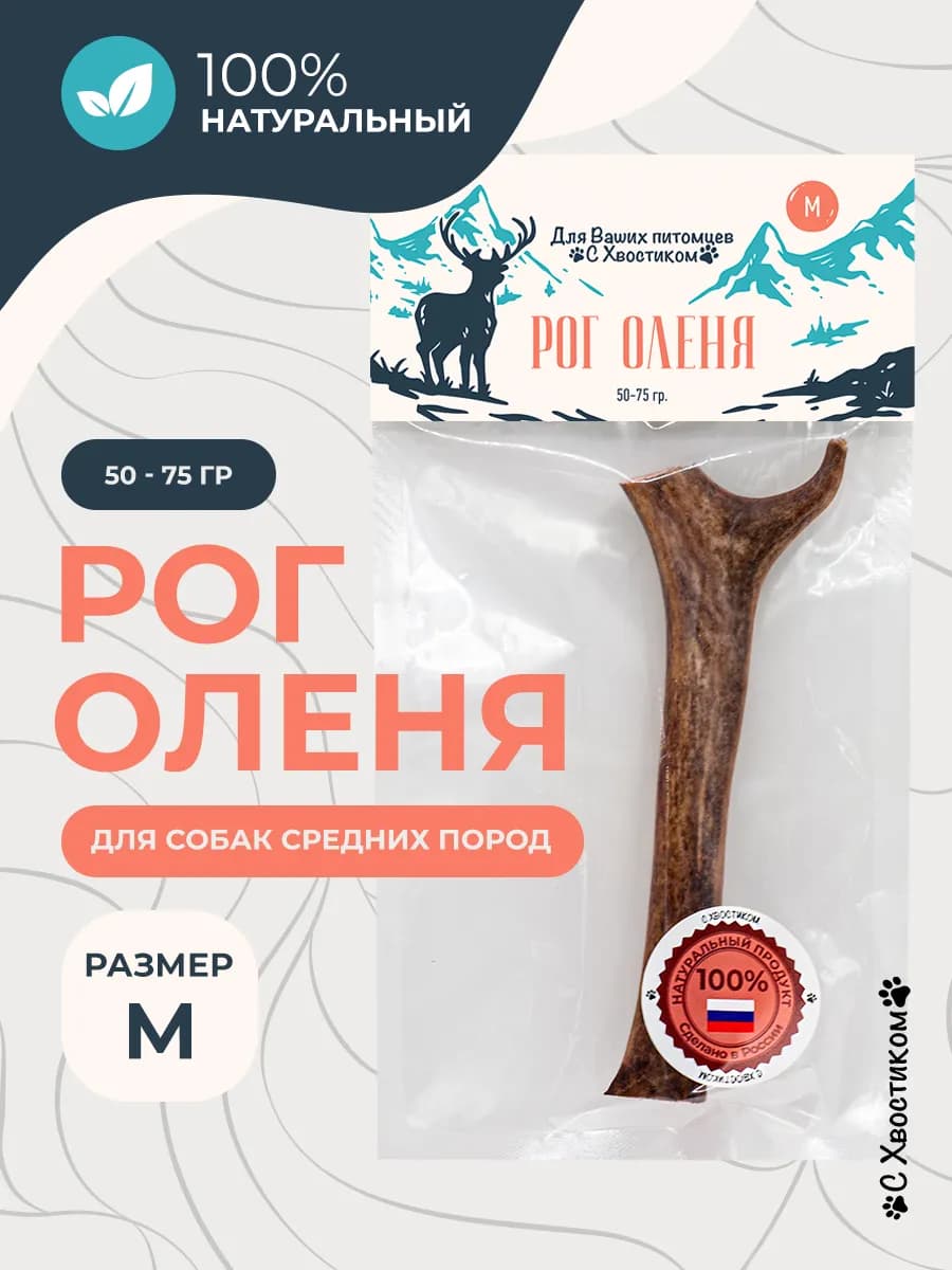 Рога оленя - фото 1