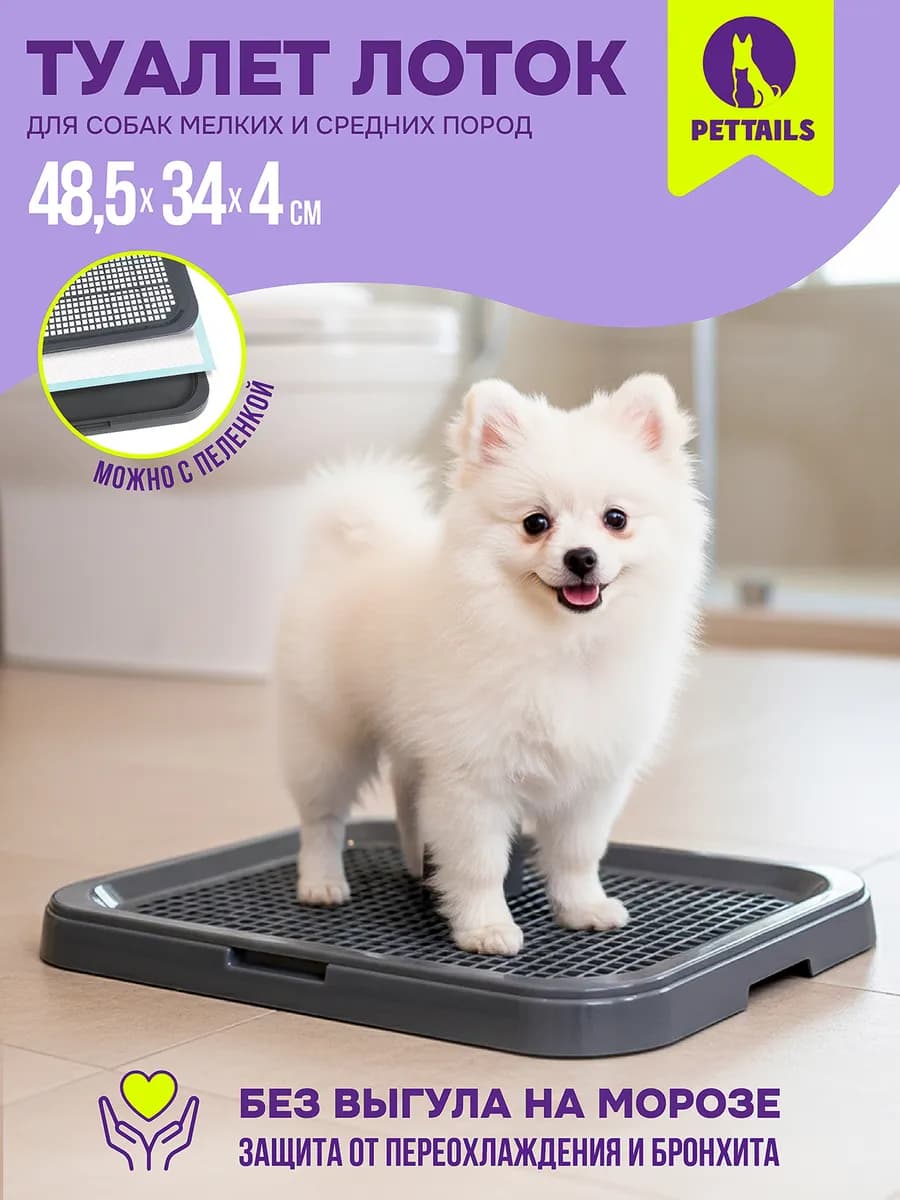 Туалет лоток для собак с сеткой под пеленку 48,5*34*4см - фото 1