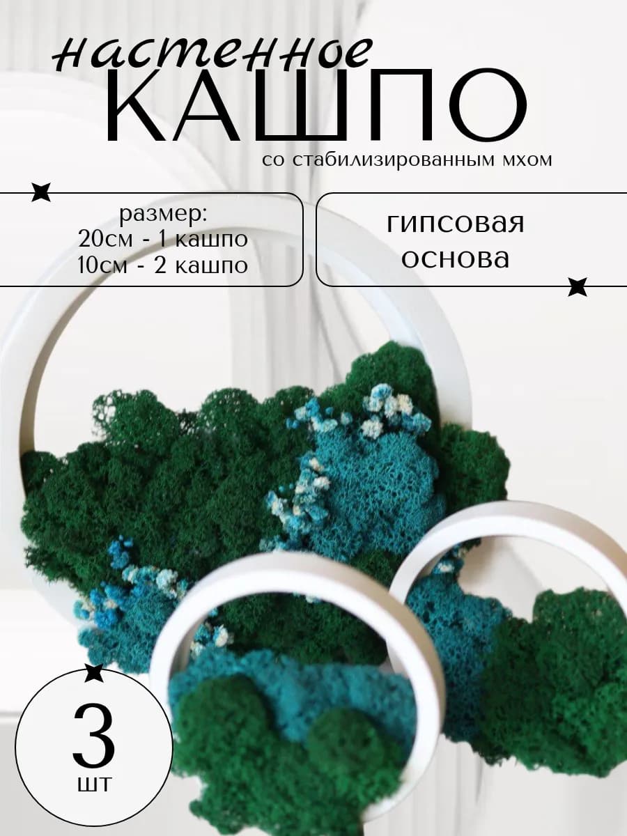 Настенный декор кольца со стабилизированным мхом