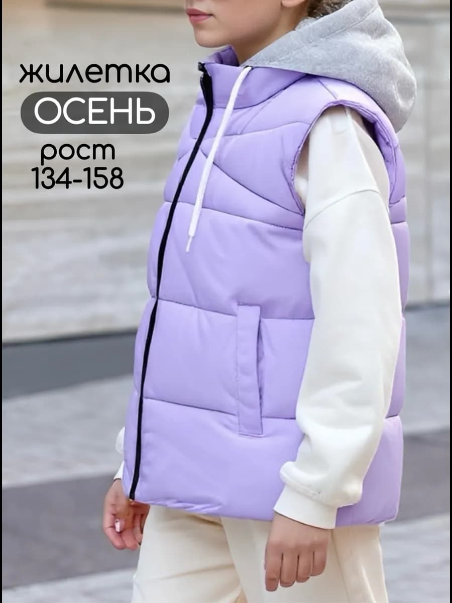 Жилетка утепленная демисезонная с капюшоном безрукавка