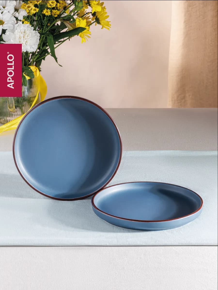 Тарелки десертные 21.5 см 2 шт