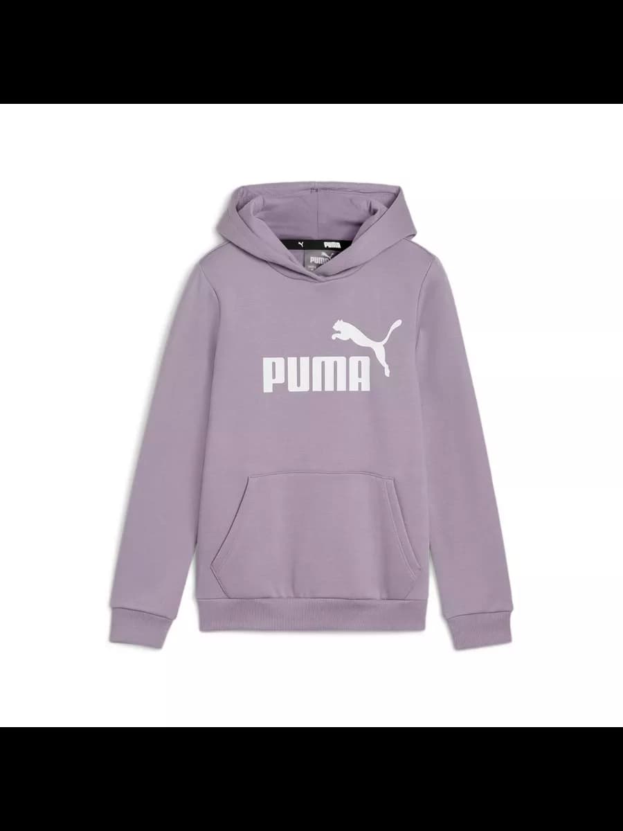 Худи ESS Logo Hoodie FL G