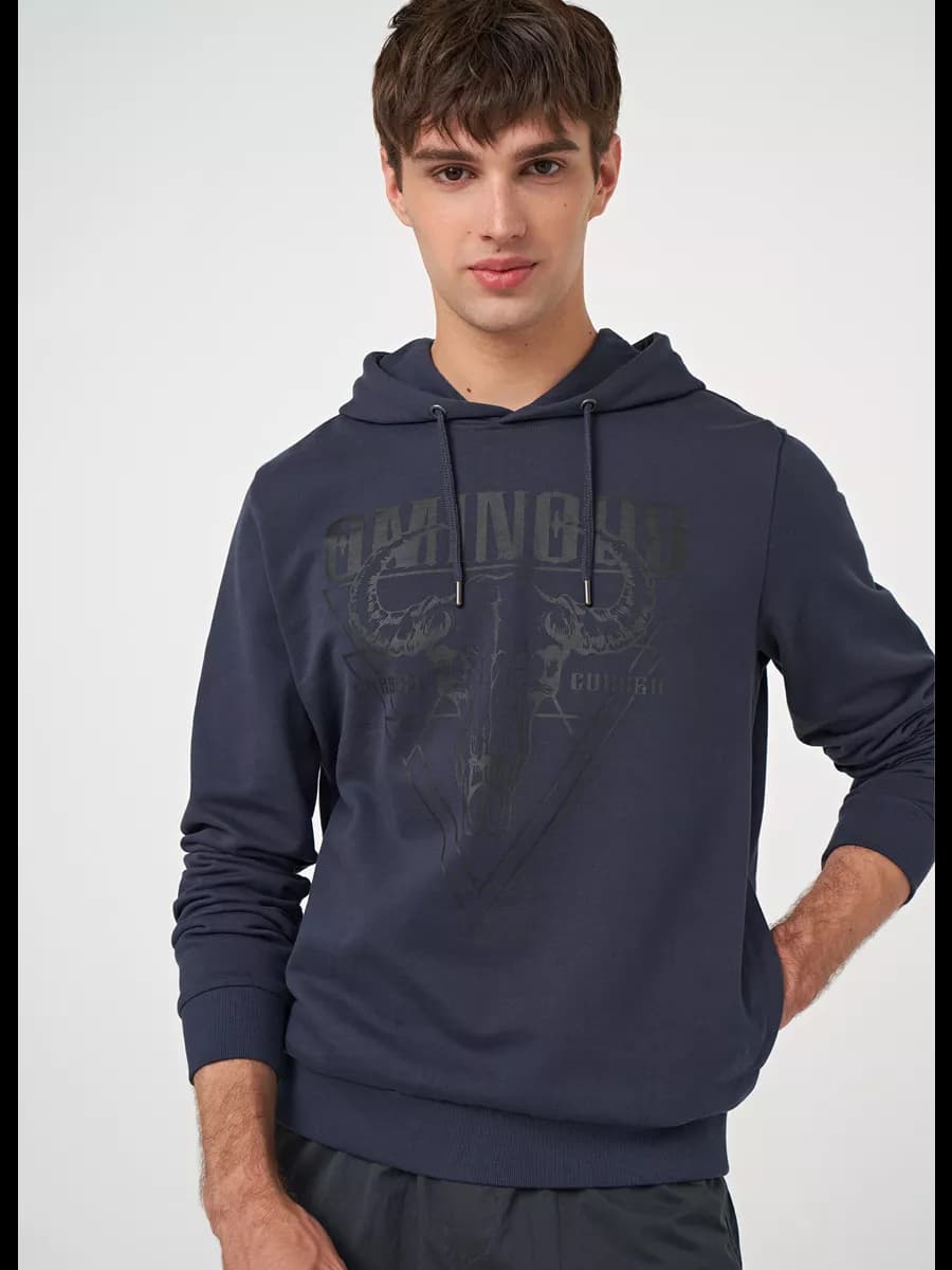 Толстовка Regular Fit серая