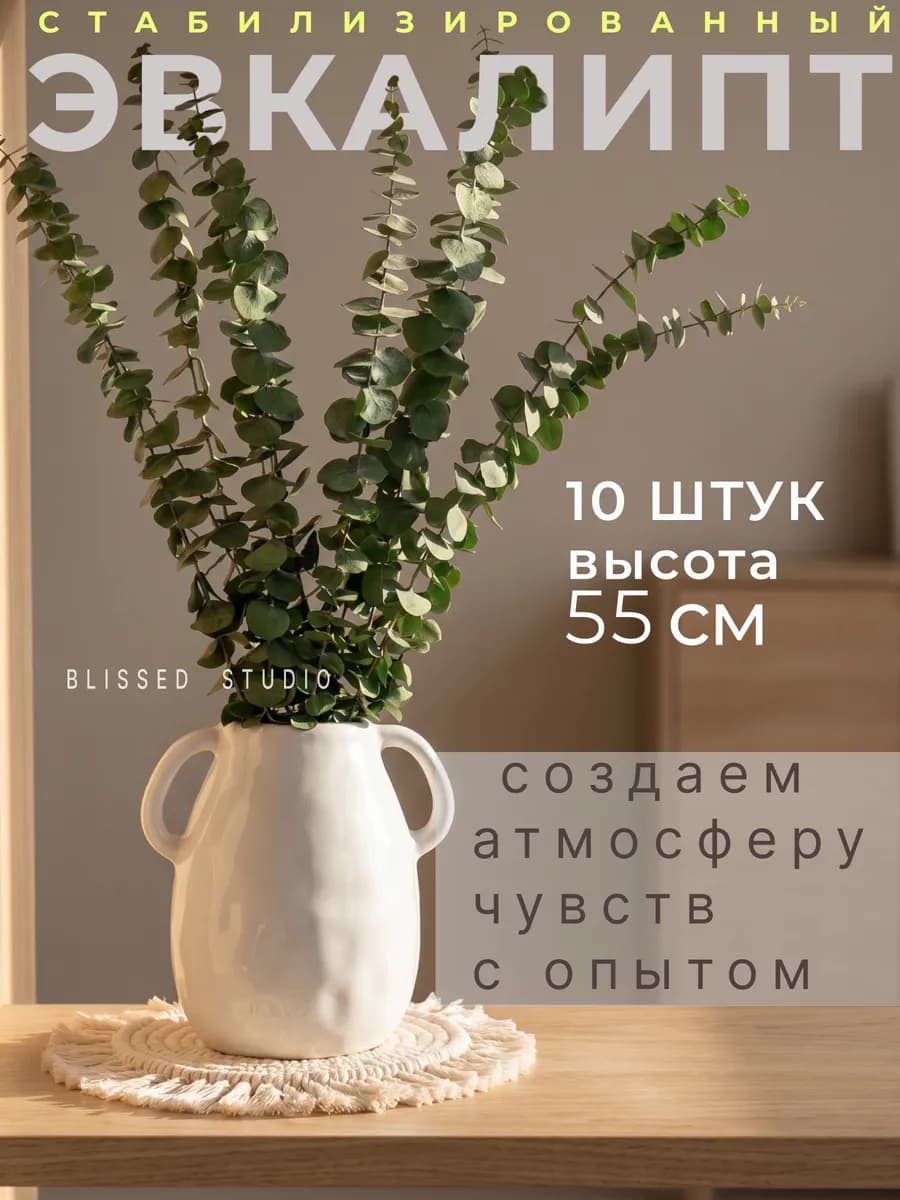 Эвкалипт стабилизированный натуральный сухоцветы для декора
