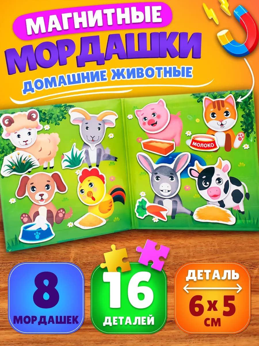 Магнитная развивающая игра Мордашки