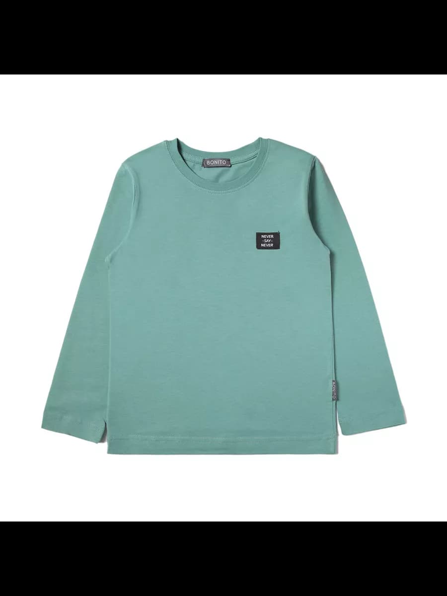 Лонгслив свитшот для мальчика