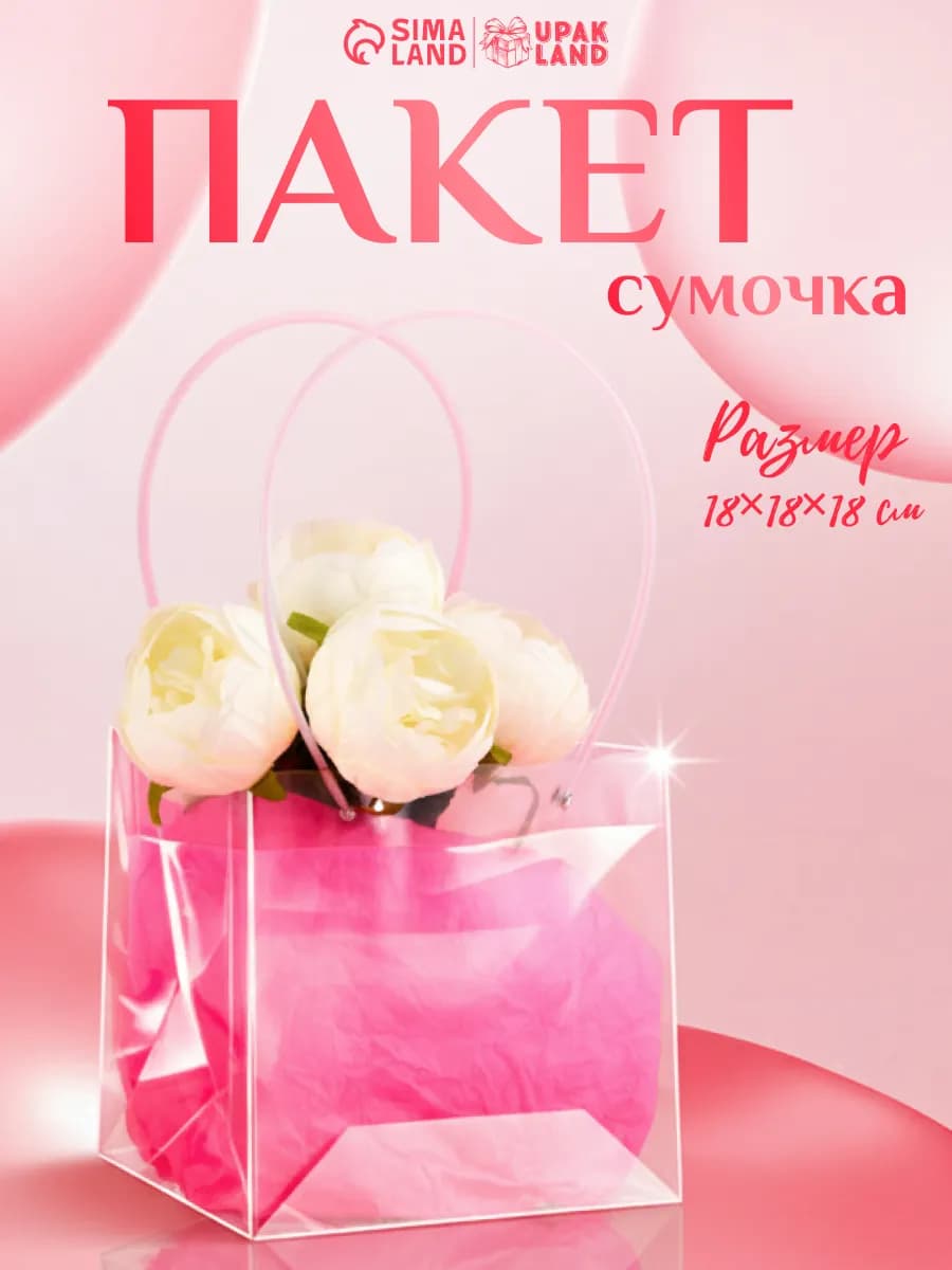 Подарочный пакет для упаковки подарка