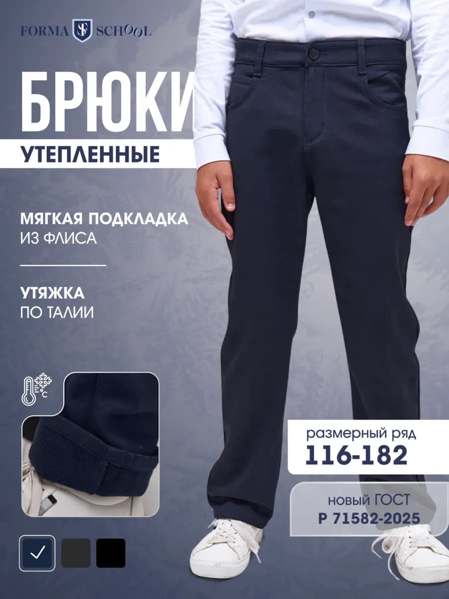 Брюки утепленные для мальчика школьные - фото 1