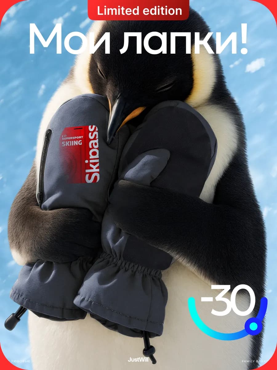 Варежки горнолыжные мужские зимние болоньевые рукавицы краги