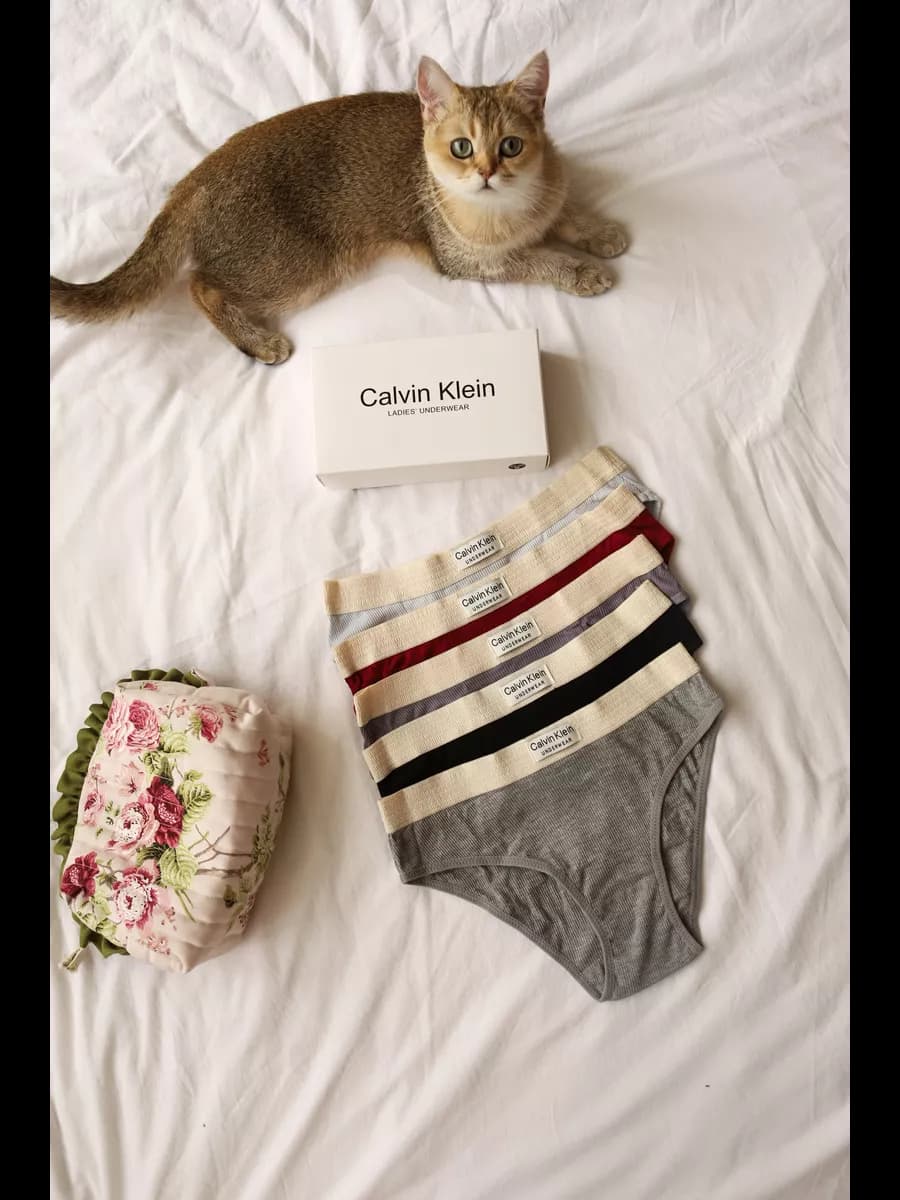 Набор трусов хлопок calvin klein 5 шт