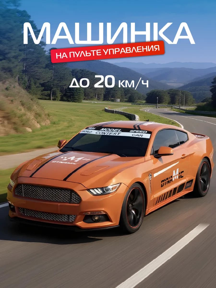 Машинка на пульте управления