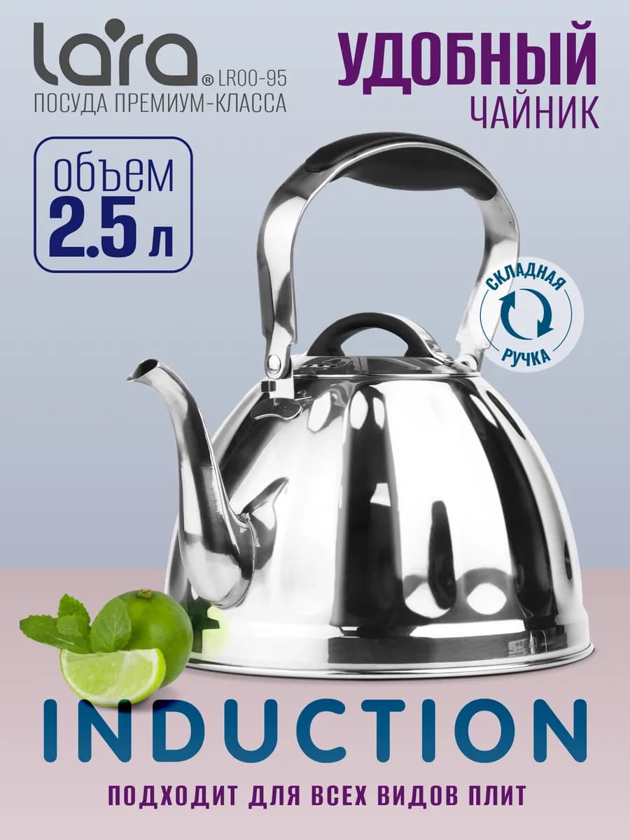 Чайник для плиты 2,5 литра LR00-95