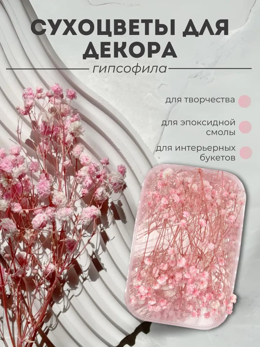 Гипсофила сухоцвет букет цветов