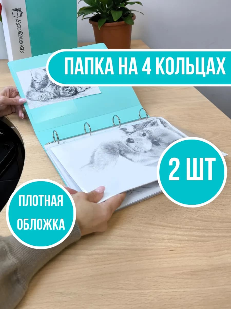 Папка на 4-х кольцах А4-2шт