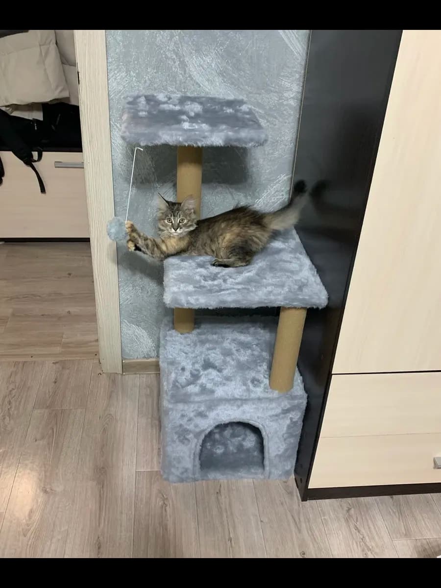 Домик для кошки с когтеточкой 36х36х96 см - фото 1