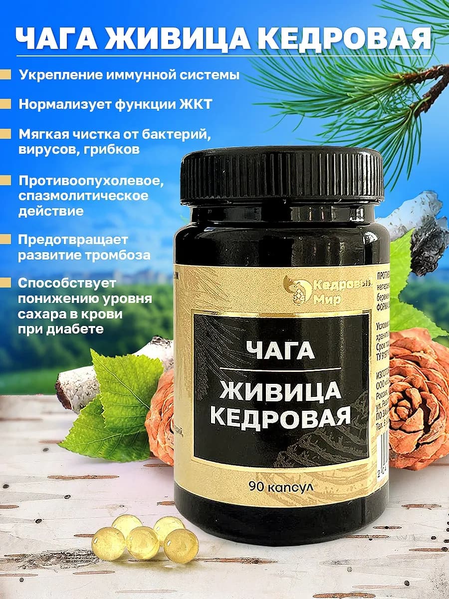 Чага, Живица кедровая
