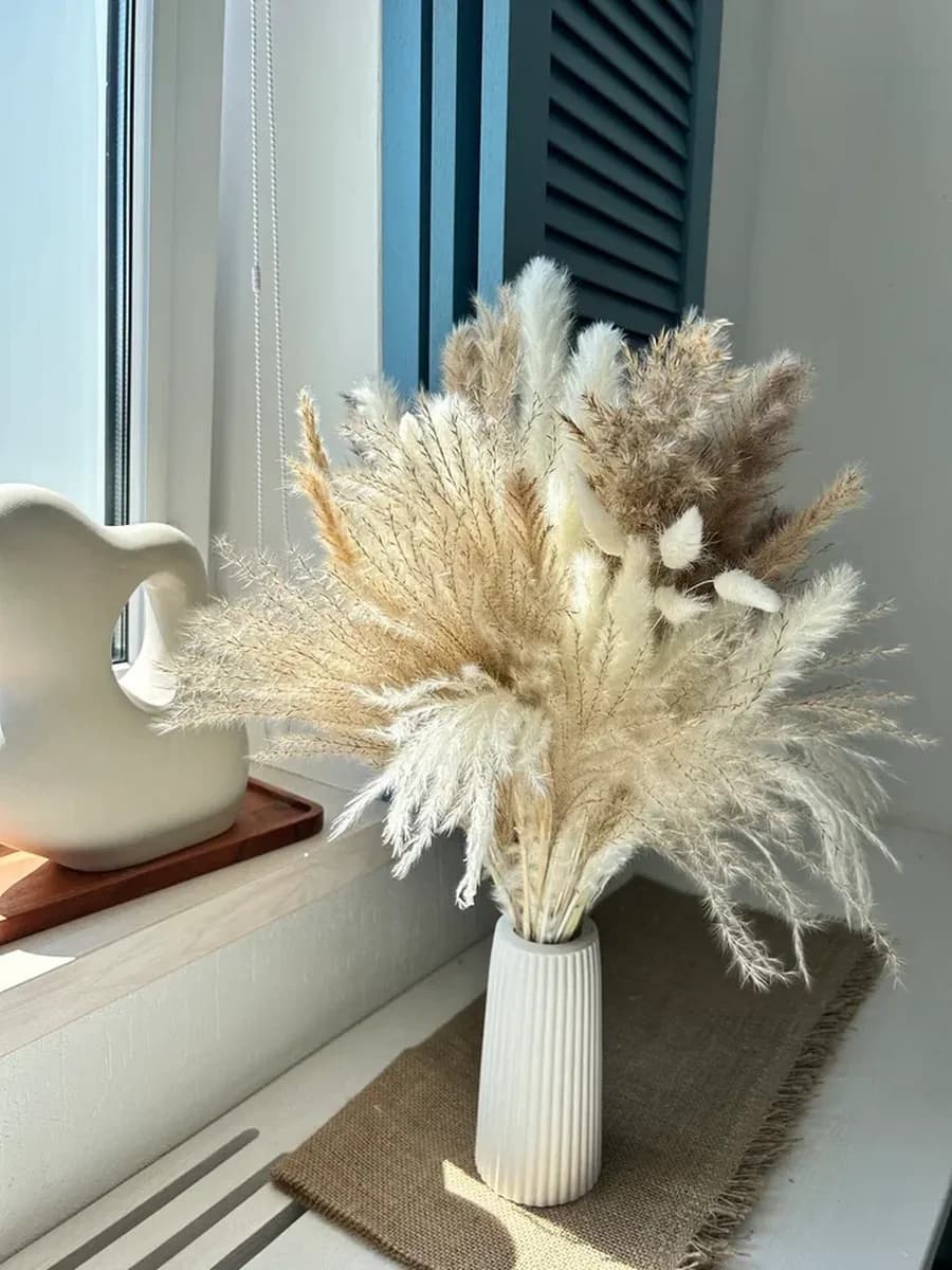 Сухоцветы для декора и вазы пампасная трава