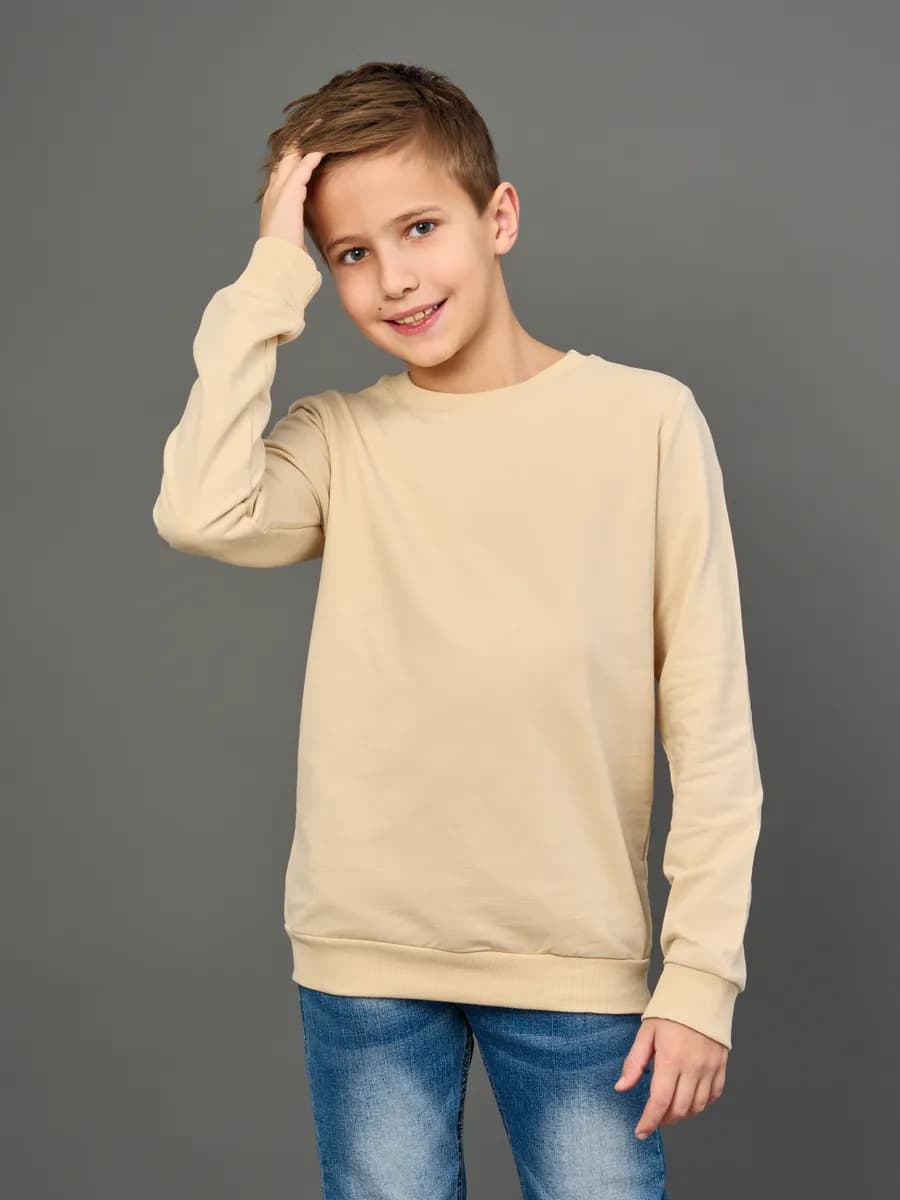 Толстовка свитшот без начеса