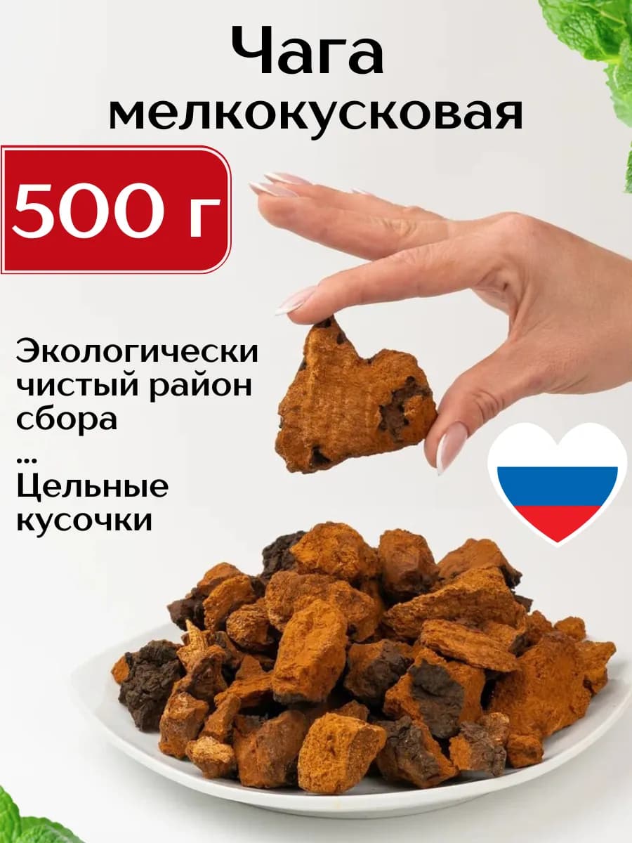 Чага березовая кусковая 2-4 см, 500г - фото 1
