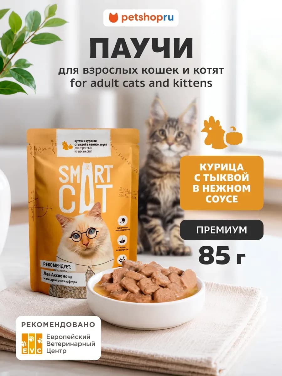 Влажный корм для кошек кусочки курочки с тыквой, паучи 85 г