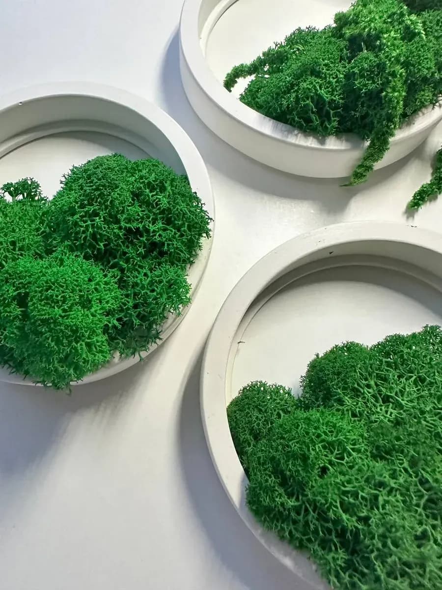 Настенное кашпо с мхом 3 штуки