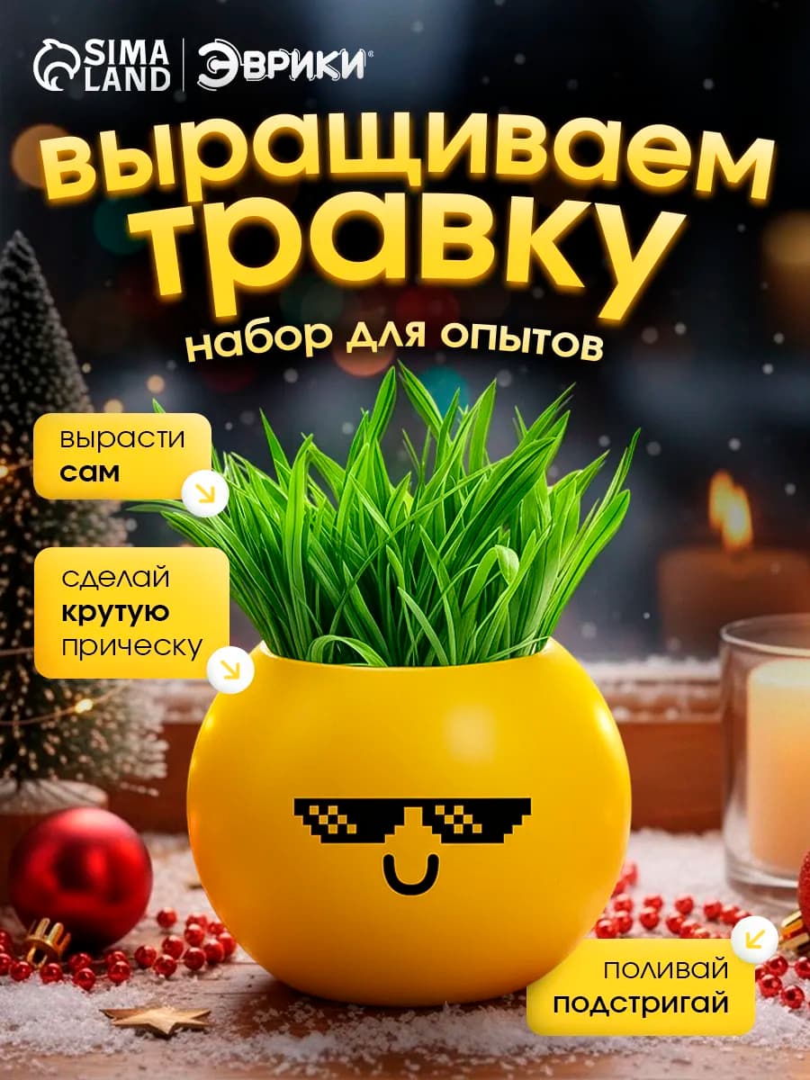 Набор для опытов выращиваем траву в горшочке Смайл крутой - фото 1