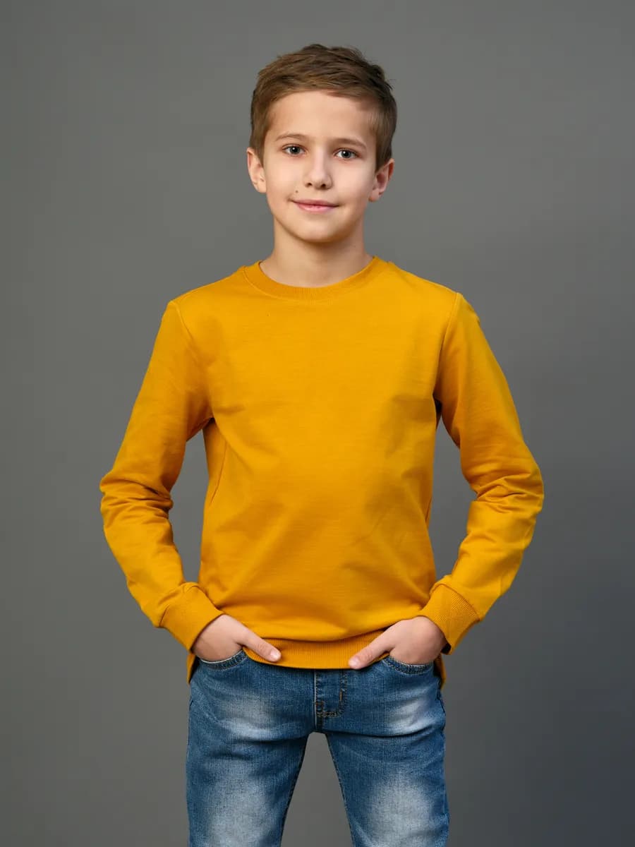 Толстовка свитшот без начеса